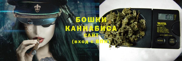 мдпв Тайга