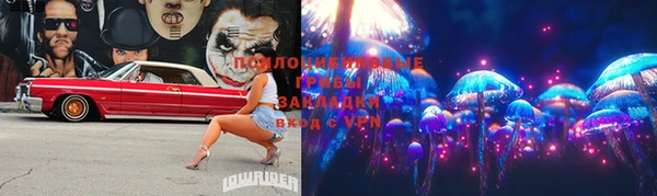 мдпв Тайга