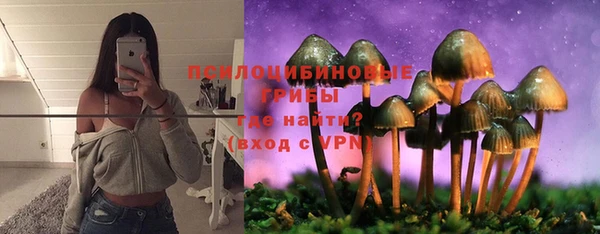 стафф Строитель